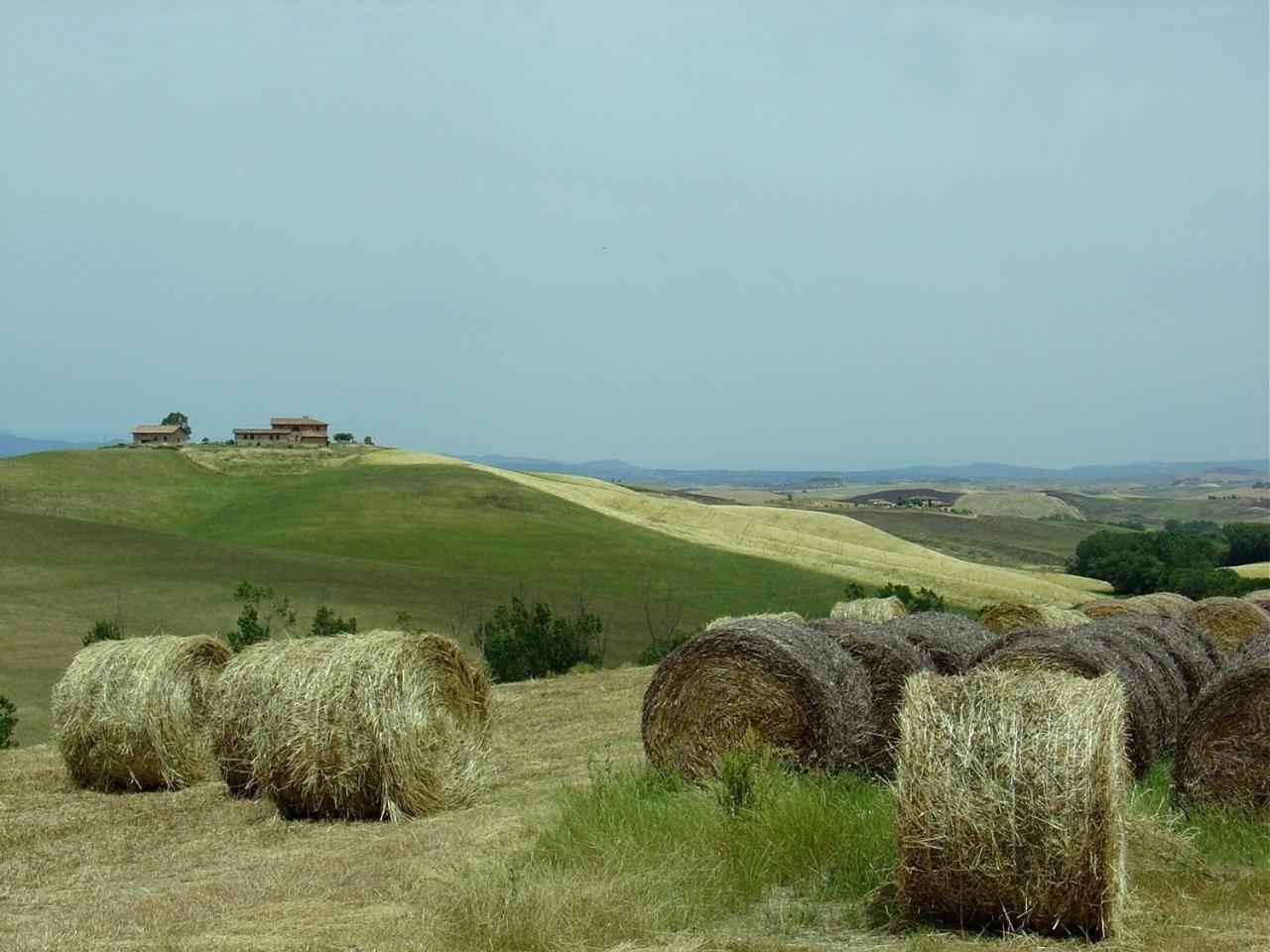 Tenuta Di Corsano Monteroni dʼArbia Extérieur photo