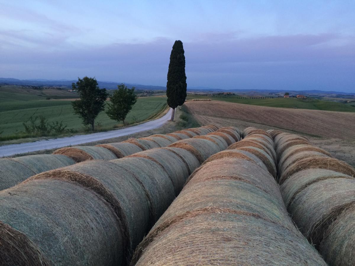 Tenuta Di Corsano Monteroni dʼArbia Extérieur photo